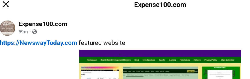 https://expense100.com